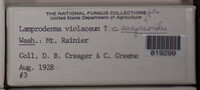 Image Associated With the Occurence